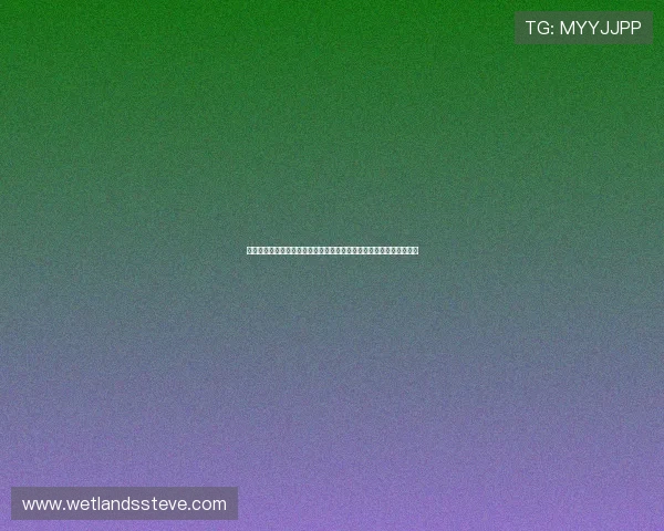 多宝真人官网入口网址官方推荐，快速找到多宝真人最新登录入口地址