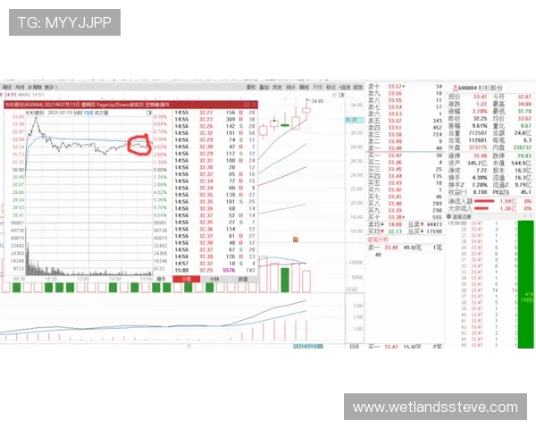 如何利用百家乐概率分析优化投注策略实现长期盈利的实战经验分享