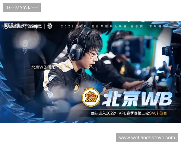 AG真人是什么公司以及其在网络游戏行业中的地位与发展分析