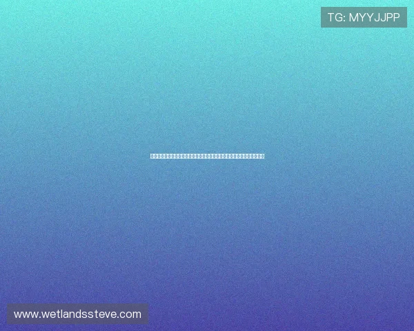 如何制作吸引眼球的世界杯捷克南非比赛海报提升赛事关注度与观众参与度 如何制作吸引眼球的世界杯捷克南非比赛海报提升赛事关注度与观众参与度