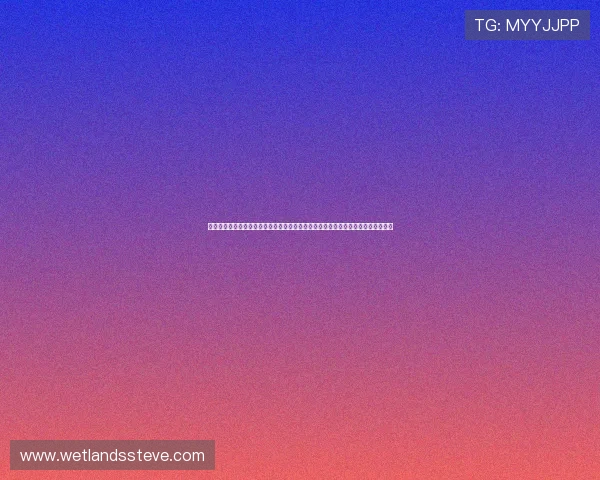 奥地利对约旦控球战术研究:世界杯赛场上两队控球策略的差异与战术执行效果分析