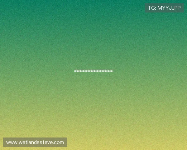 挪威与法国在世界杯中的半全场表现走势及比赛重点分析 挪威与法国在世界杯中的半全场表现走势及比赛重点分析